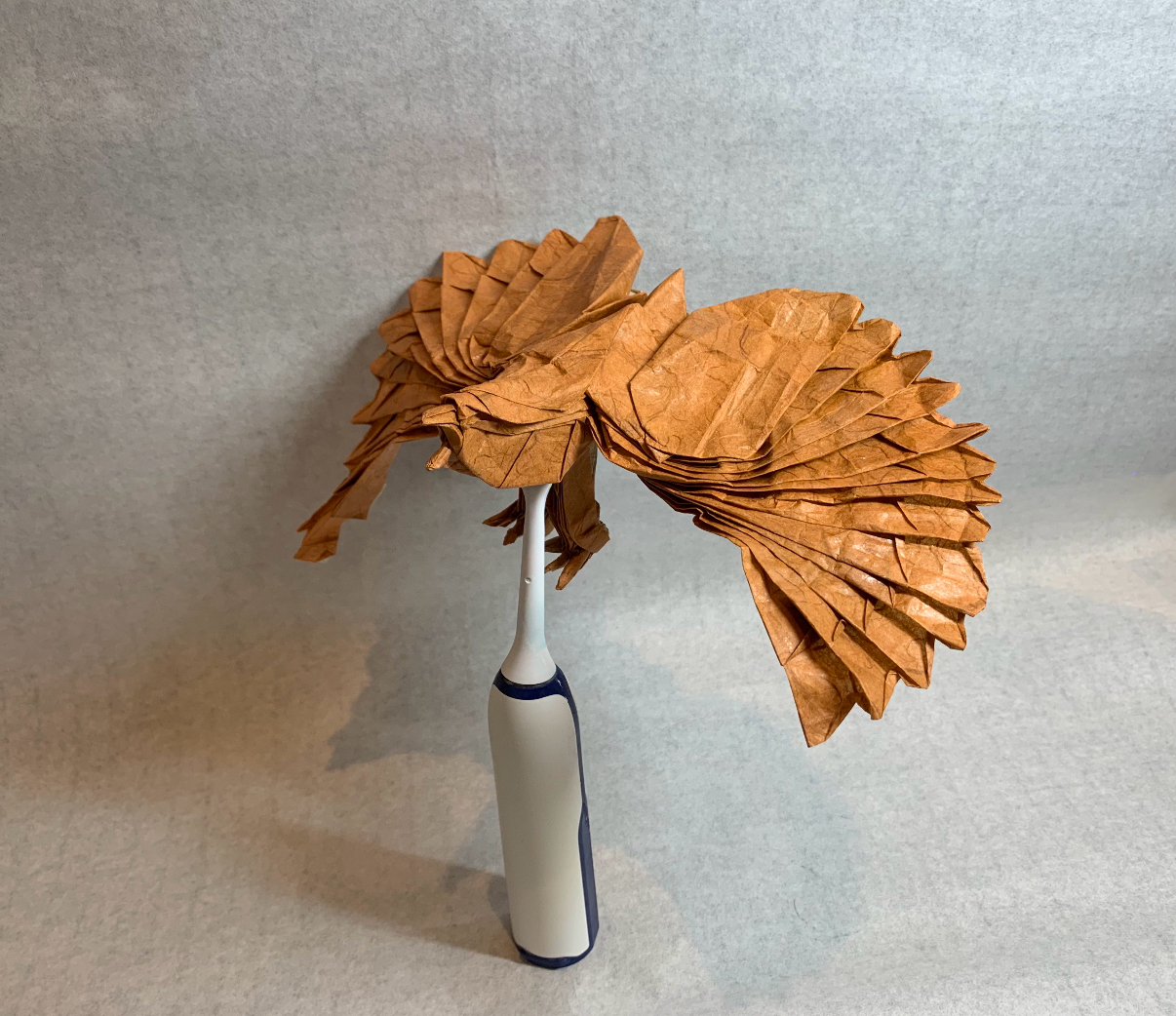 Eagle Origami Photo